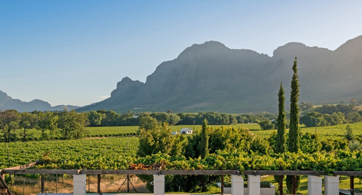 SouthAfrica:Franschhoek:TheResidence_PerlaEstate:winery23.jpg