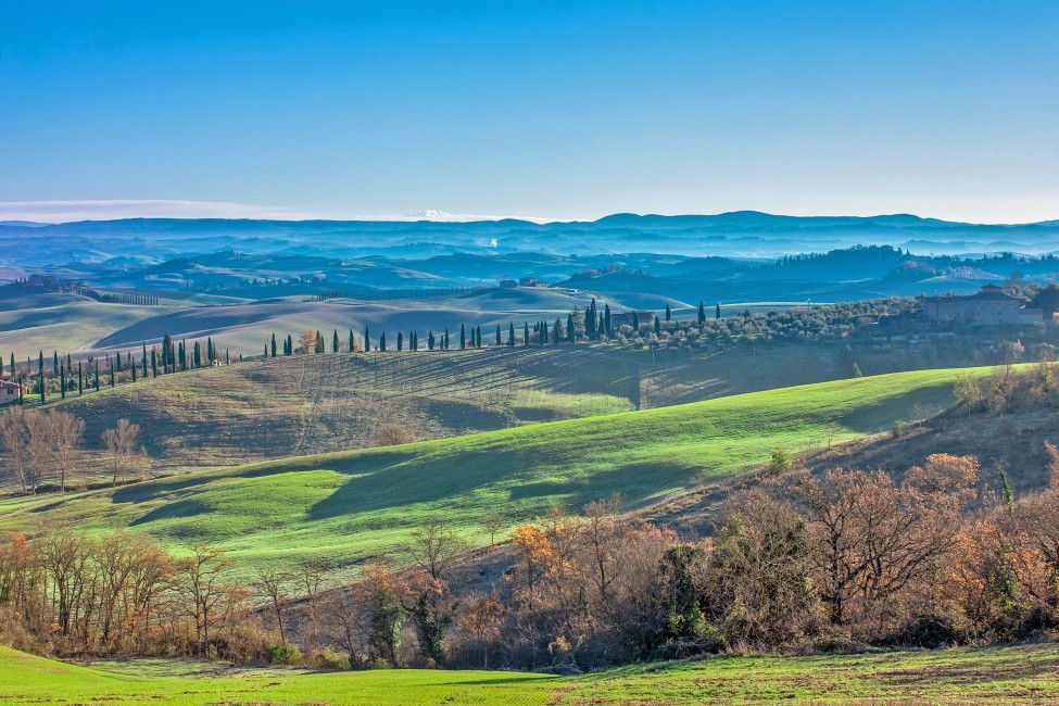 taly:Tuscany:Siena:ITSI01:VillaPomina_VillaRomina:view876.jpg