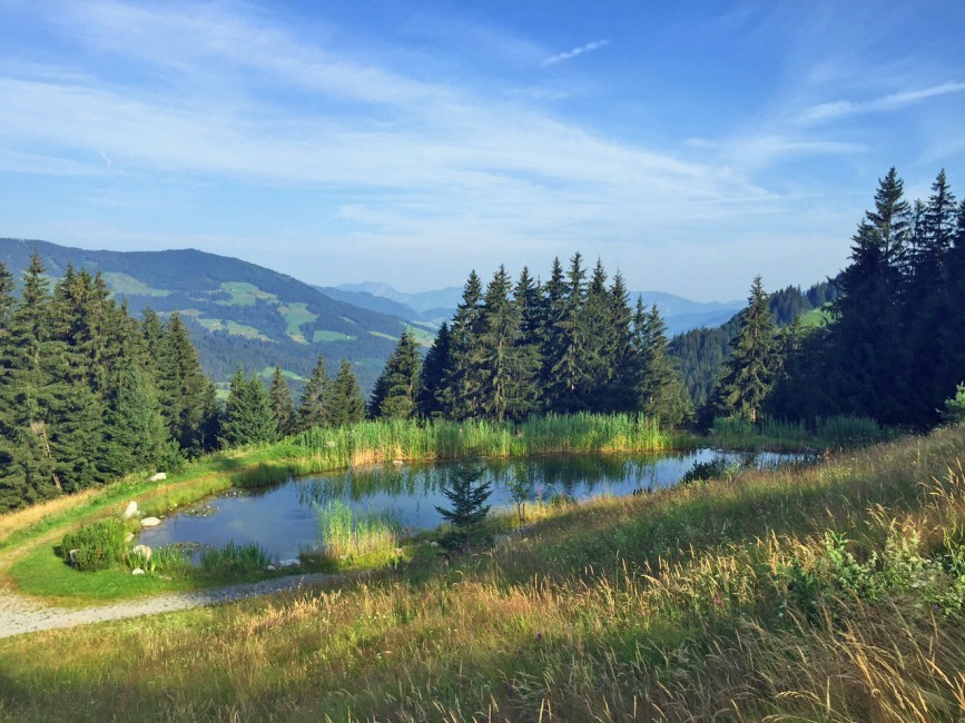 Austria:Westendorf:ChaletZwischenbachalm_ChaletZelda:view19.JPG