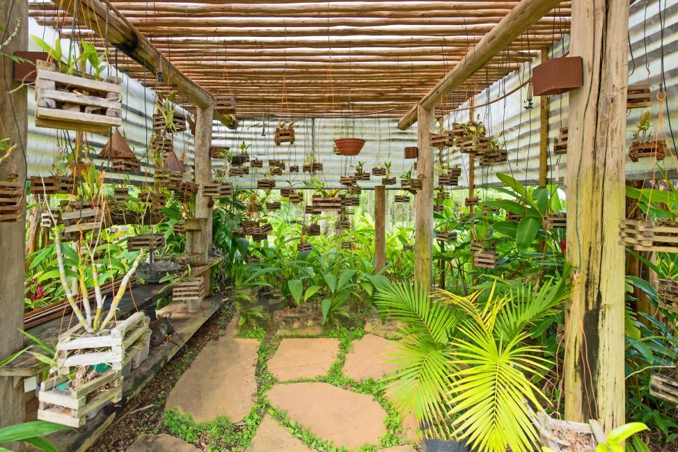 Brazil:AngradosReis:W02.299_ResidenceAriana:garden40.jpg