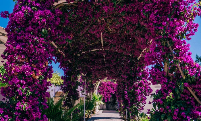 Villa Monita