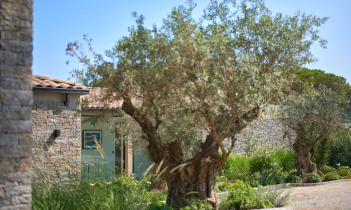 Villa Roy