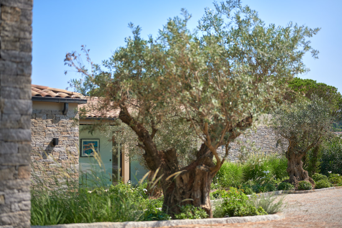 Villa Roy