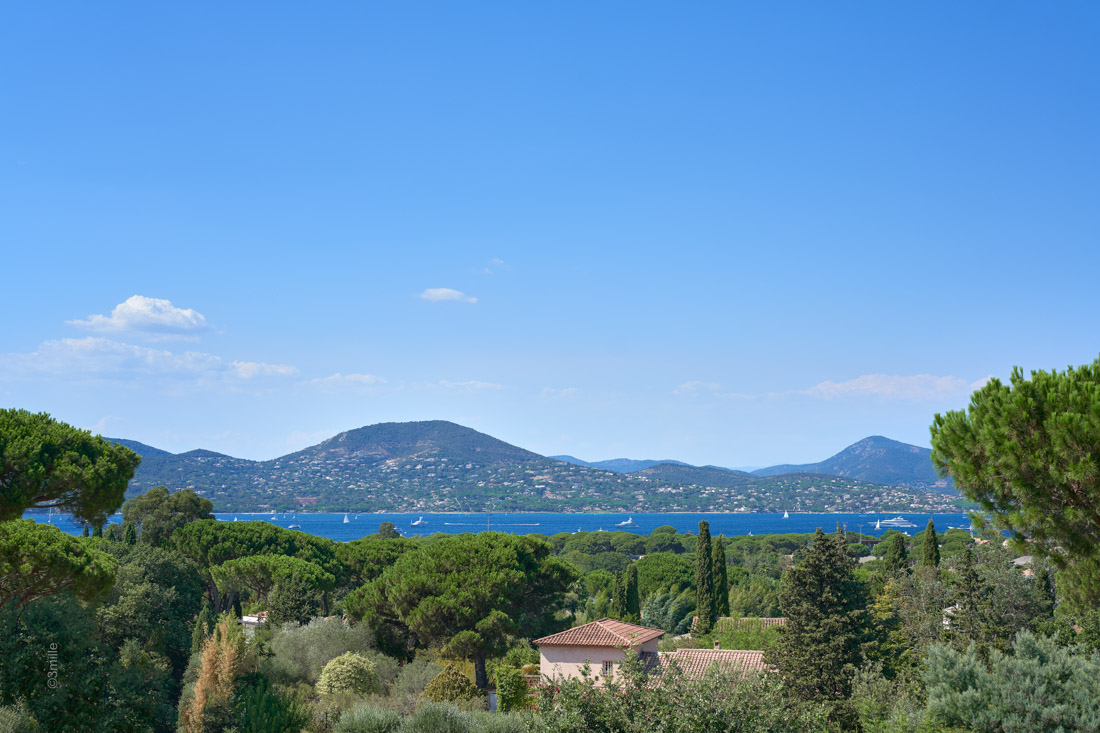 Villa Roy