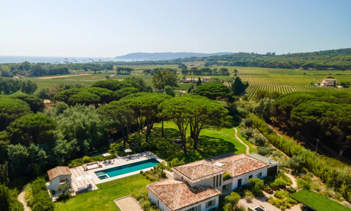 Villa Nolan