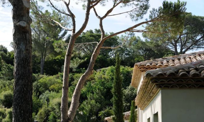 Villa Mau