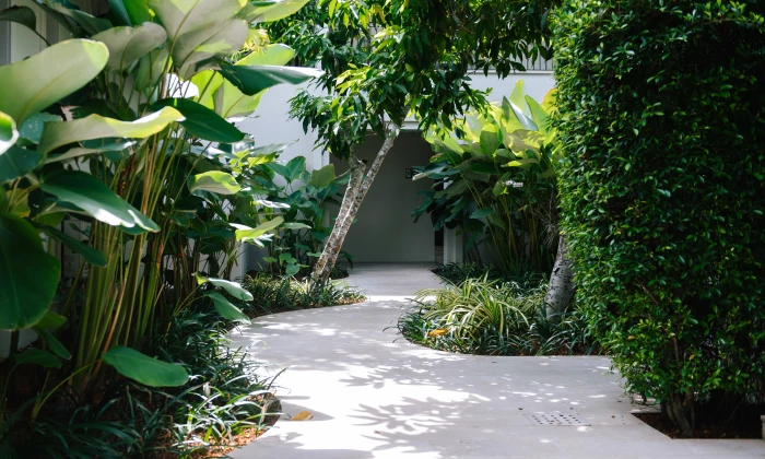 The Residence Plumeria