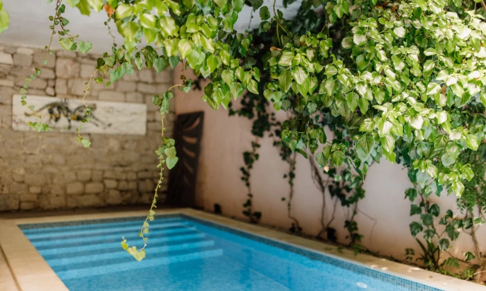 Villa Holi