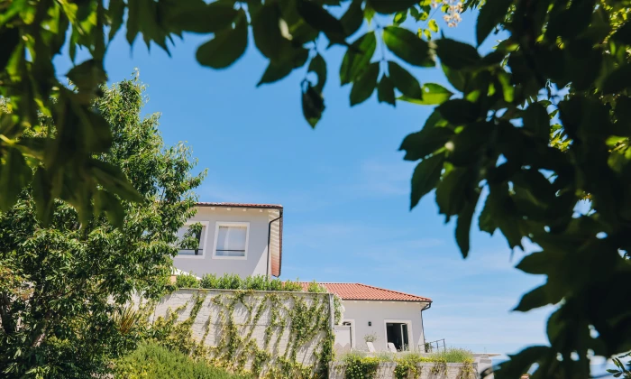 Villa Collibri