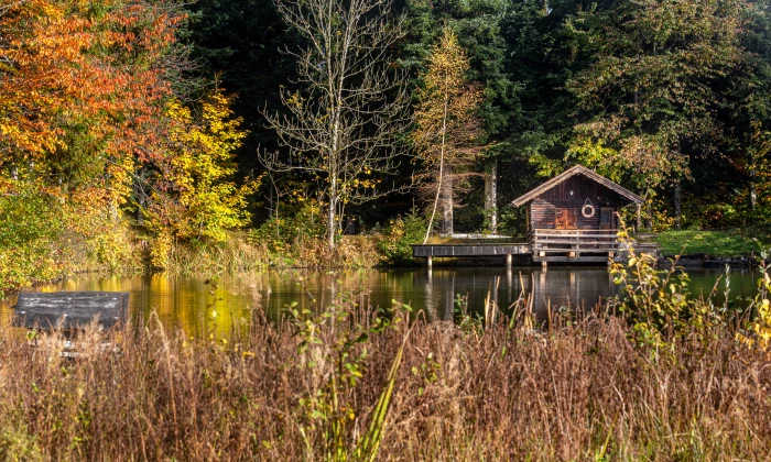 Chalet Rustico