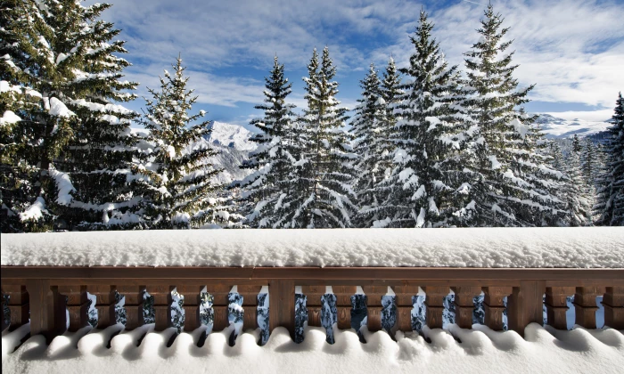 Chalet Nogentil