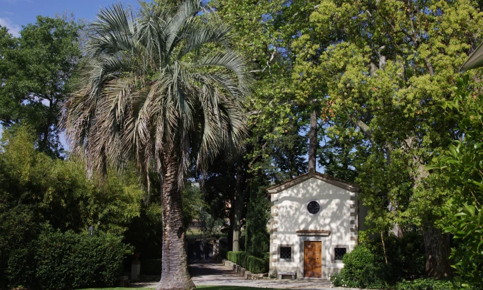 Villa Leona 2