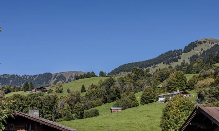 Chalet Aurach