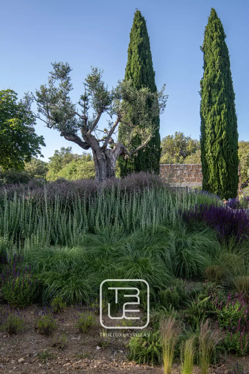 Villa Tenuta