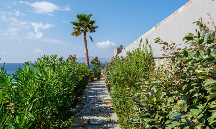 Lukas Estate