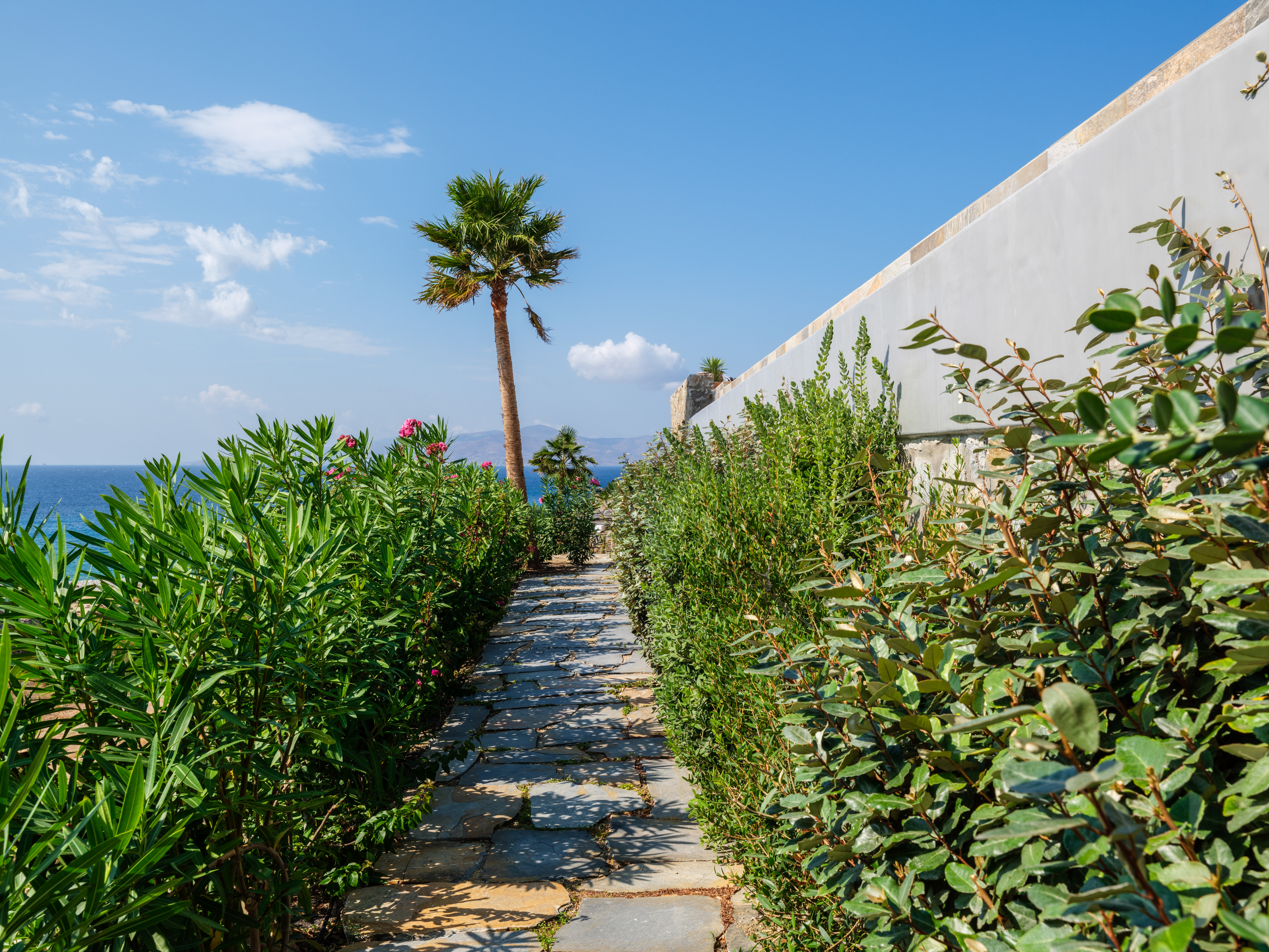 Lukas Estate
