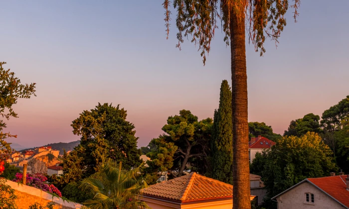 Villa Flora