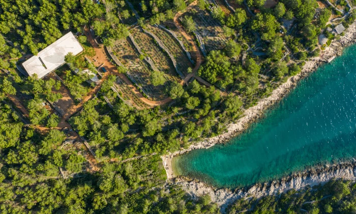 Villa Nest