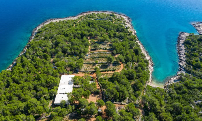 Villa Nest