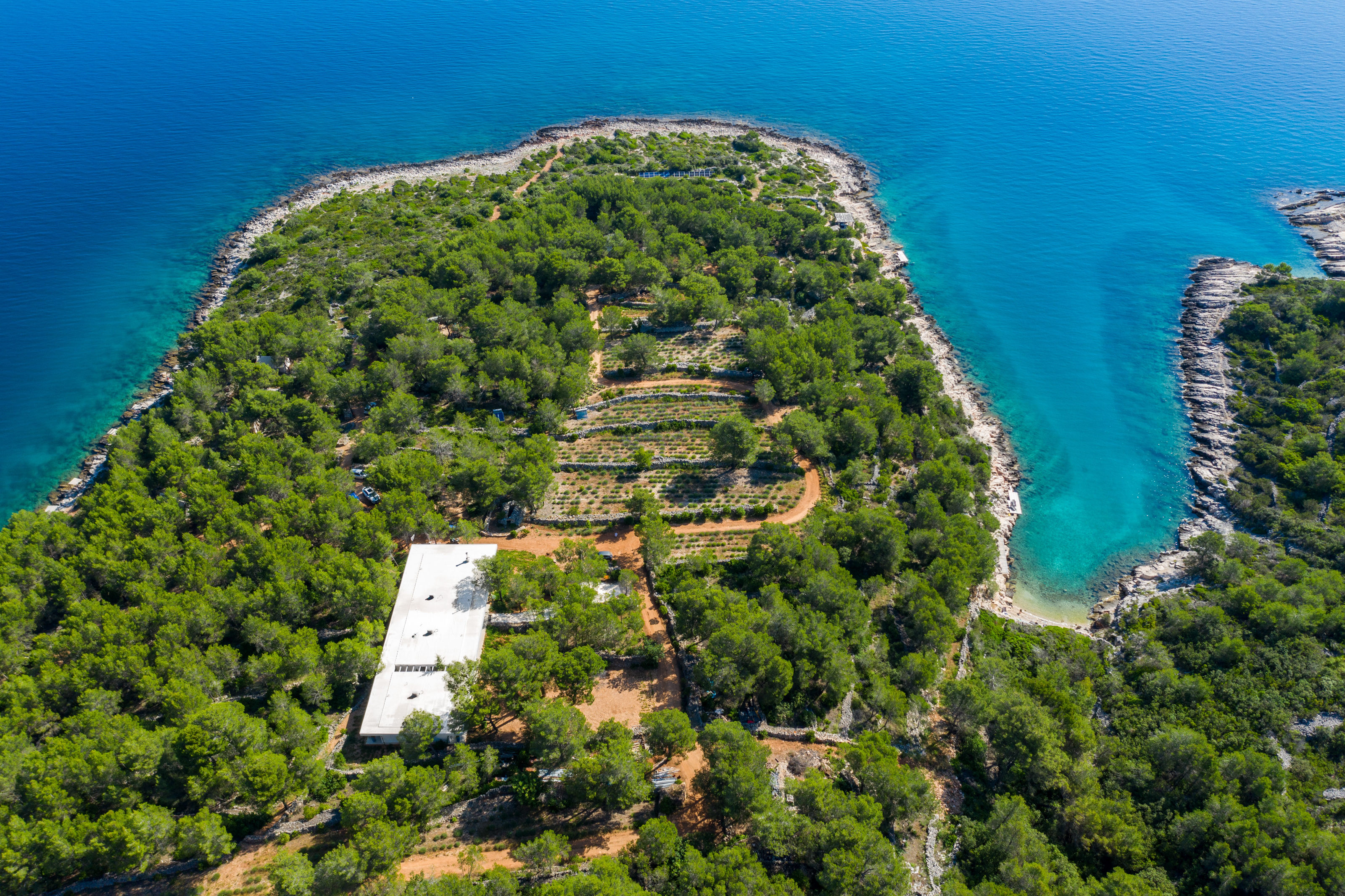 Villa Nest