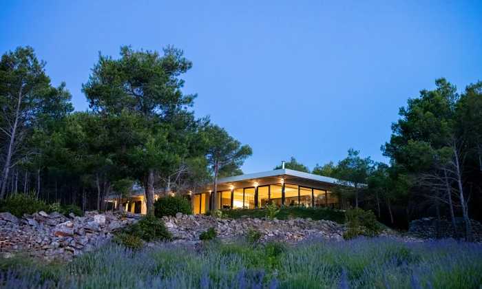 Villa Nest