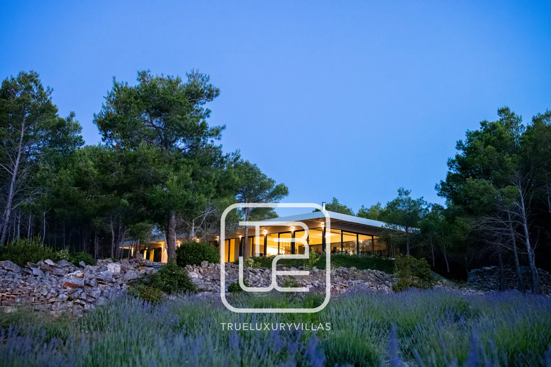 Villa Nest