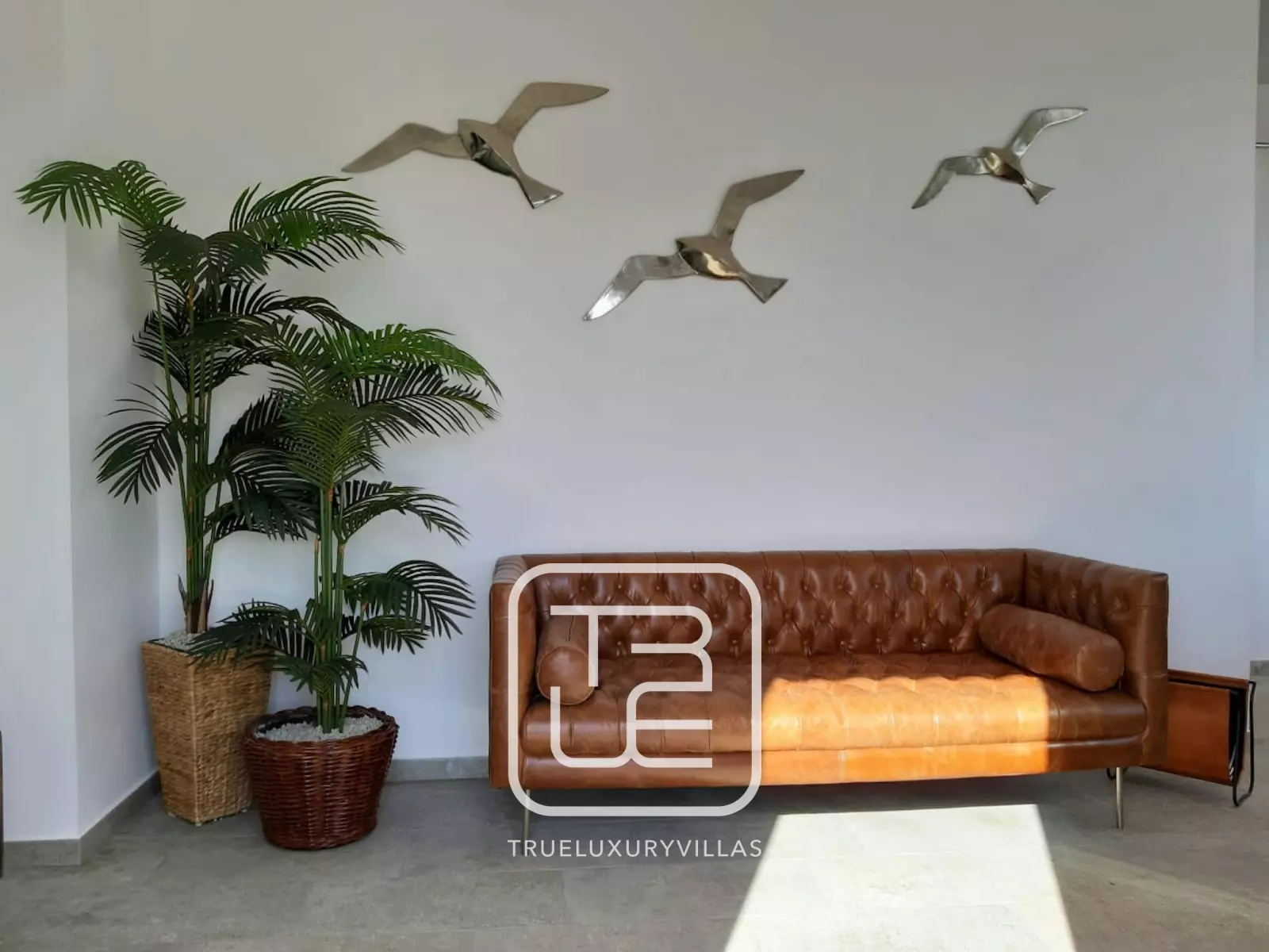 Casa Tiro