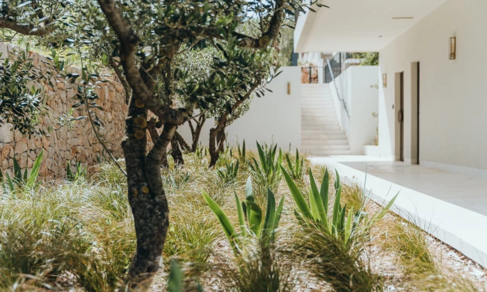 Villa Cadia