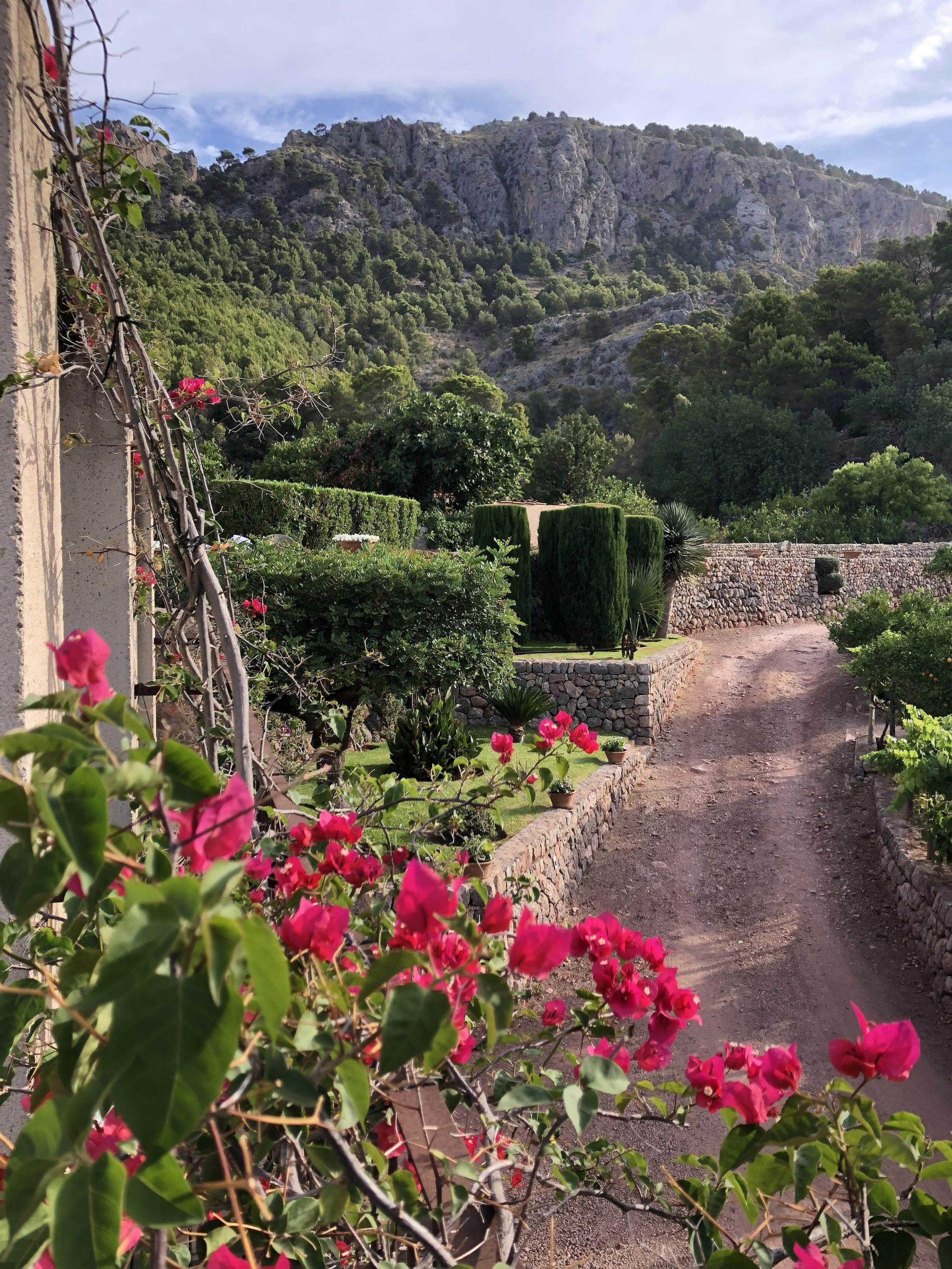 Villa Bassa