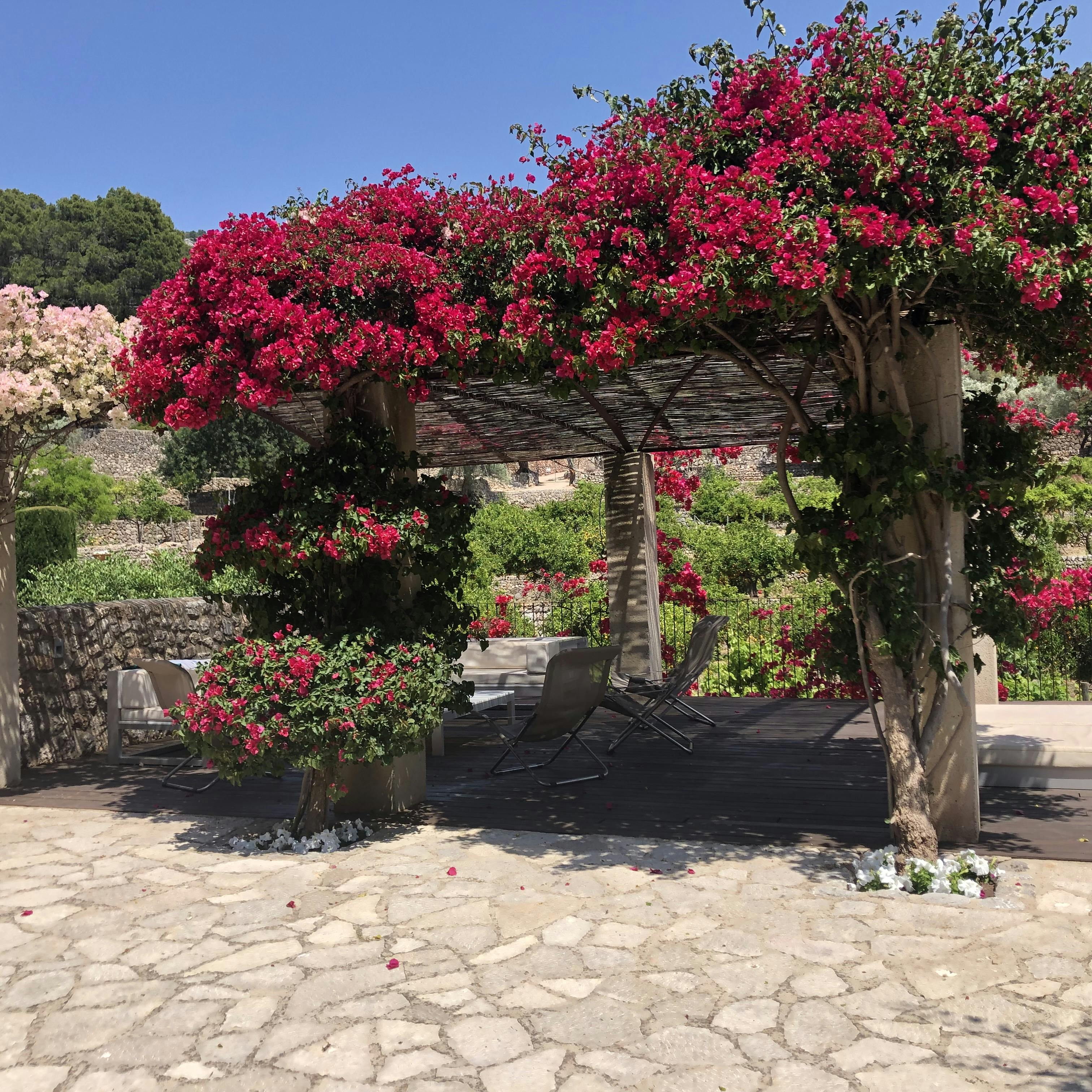 Villa Bassa