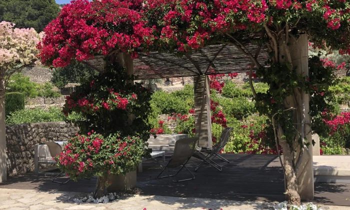 Villa Bassa